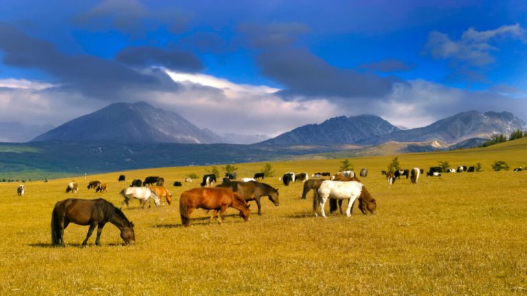 Байкальская классика