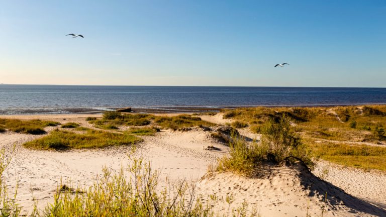 Белое море: Архангельск и самое важное